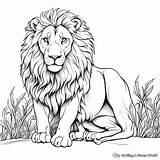 Roar Into Creativity With Lion Printable Coloring Pages sketch template