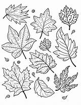 47 Breathtaking Nature Coloring Pages  Our Mindful Life sketch template