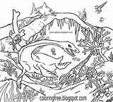 Ancient Sea Creatures Coloring Pages sketch template