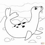 Seal Coloring Page  Free Printable Coloring Pages sketch template