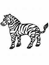 Coloring Page Of A Zebra  Free Printable Zebra Coloring Pages For Kids sketch template