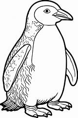 Penguin Coloring Book  Pages With Designs For Kids To sketch template