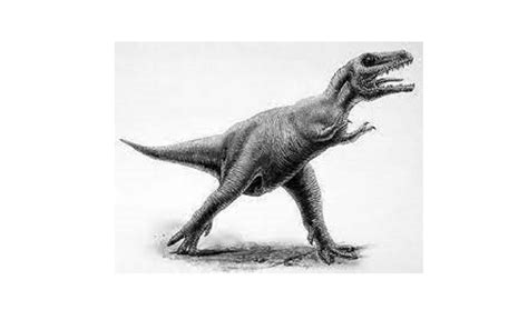 Albertosaurus dinosaurs , facts | pictures -Albertosaurus dinosaurs habitat.