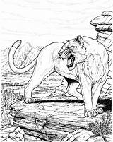 Black Panther Animal Coloring Pages sketch template