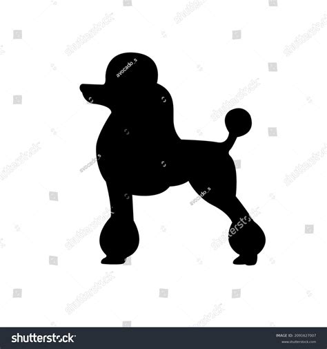 4,603 Poodle Silhouette Images, Stock Photos & Vectors | Shutterstock