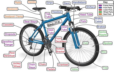 Trek Mountain Bike Parts Diagram | Reviewmotors.co