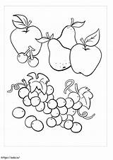 Awesome Fruits coloring Page sketch template