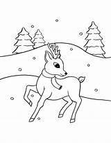 Reindeer Coloring Pages  Winter Download Printable PDF Templateroller sketch template