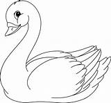 Cigno Cisne Swan Schwan Zwaan Colorat Zwanen Kleurplaten Lebede Animale  sketch template
