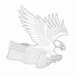 Coloring Pages Bald Eagle And Us Flag sketch template