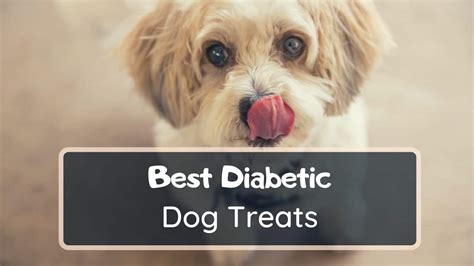 10 Best Diabetic Dog Treats - Low Carb Content Treats 2021