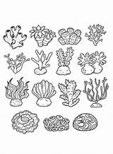 Coral Coloring Pages  Free Printable PDF & Online sketch template
