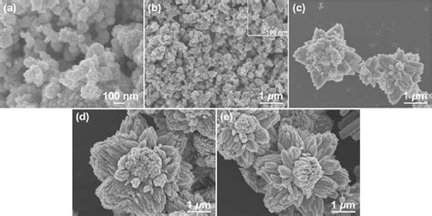 Morphological evolution of the ZnO products with respect to different... | Download Scientific ...