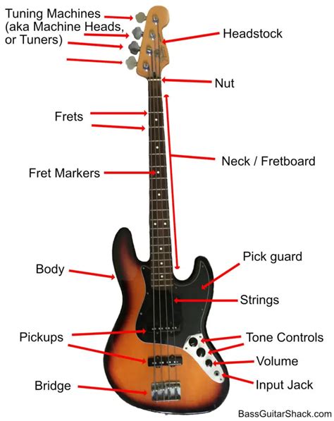 Bass Guitar Anatomy: Parts of a Bass Guitar - Bass Guitar Shack