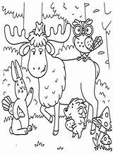 Elk With Cute Forest Animals Coloring Page  Free Printable Pages sketch template