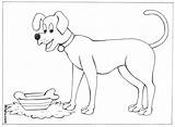 Coloring Pictures Of Domestic Animals  Pages sketch template
