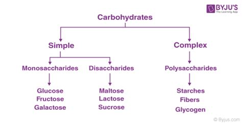 [最も欲しかった] carbohydrates break down into these 224131-What does carbohydrates break down into ...