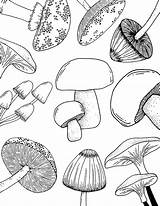 20 Printable Coloring Pages Colouring Pdf Digital Download  Etsy sketch template