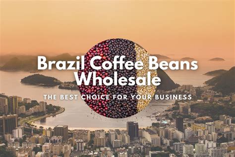 Brazil Coffee Beans Wholesale: The Best Choice for Your Business ...