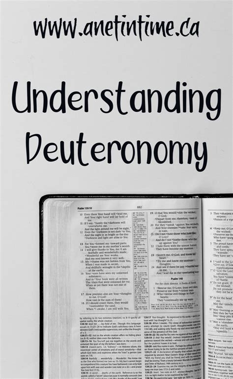 Understanding Deuteronomy - A Net in Time