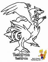 Dynamic Pokemon Black And White Coloring Sheets Druddigon  Home sketch template