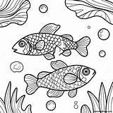 Colorful Pond Fish Coloring Page  Pagescom sketch template