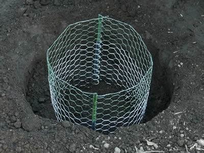 Gopher Control Wire Mesh Protects Lawn and Individual Plant