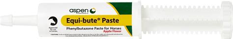 EQUI-BUTE Paste for Horses Apple Flavor, 20 gm/60 mL - Chewy.com