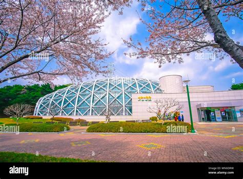 Beautiful Ulsan Grand Park during Spring season, South Korea. Colorful ...