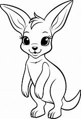 Baby Kangaroo Coloring Pages sketch template