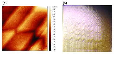 10: (a) AFM image and (b) optical microscope image of a LAO [001 ...