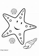 Starfish Coloring Pages  Free Printable For sketch template