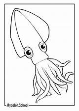 7 Squid Coloring Pages  Coloring Free Printables sketch template