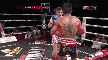 elbow | GIF | PrimoGIF