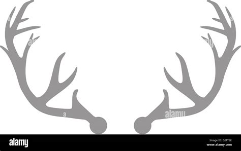 Grey deer antlers Stock Photo - Alamy