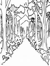 Forest Straight Road Coloring Page  Free Printable Pages For Kids sketch template