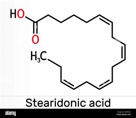 Stearidonic acid, moroctic acid, SDA molecule. It is an omega-3, fatty ...