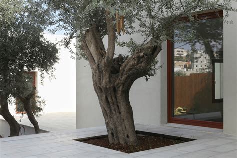 Gallery of 12 Olive Trees House / Elias Khuri Architects - 14