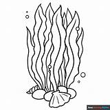 Seaweed Coloring Page  Easy Drawing Guides sketch template