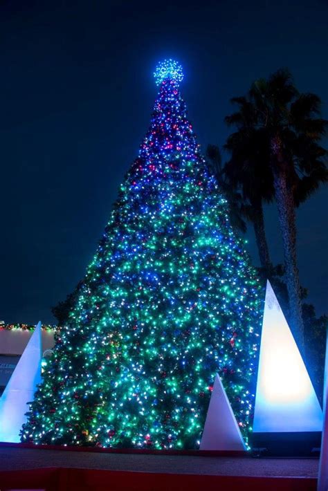 Your 2019 guide to Christmas tree and menorah lightings around San ...