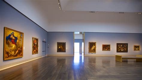 Houston Museum of Fine Arts in Houston, Texas | Expedia.ca