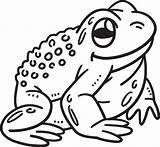 Printable Coloring Pages Dive Into The Wonderful World Of Frogs sketch template