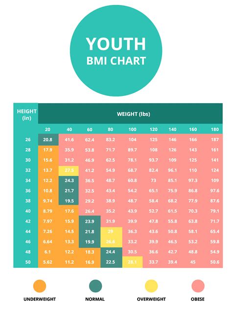 2023 Bmi Chart Fillable Printable Pdf Forms Handypdf - vrogue.co