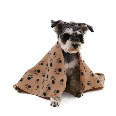 Pet Blanket Paw Printed Soft Fleece Blanket | Dog blanket, Dog pet beds, Pet teepee