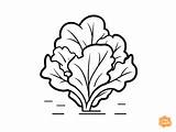 Free Lettuce Coloring Page For Kids sketch template