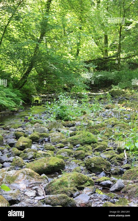 Plas Cadnant, Hidden Gardens Stock Photo - Alamy