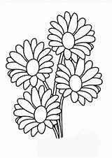 Daisy Coloring Pages sketch template