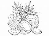Coconut Coloring Pages Printable For Free Download sketch template