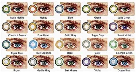 3 facts about eye color genetics eye color chart eye color chart - eye ...