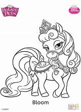 Coloring Pages Palace Pets  Coloringpages2019 sketch template